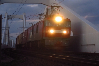 JR貨物 EH500形 EH500-55 鉄道フォト・写真 by 仙かつさん 南仙台駅：2020年10月25日16時ごろ