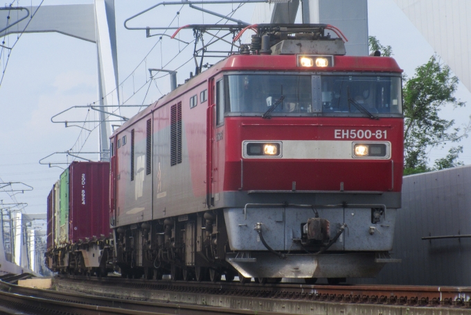 JR貨物 EH500形 EH500-81 鉄道フォト・写真 by 仙かつさん 南仙台駅：2021年06月13日14時ごろ