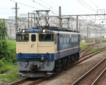 JR貨物 国鉄EF65形電気機関車 EF65ｰ2101 鉄道フォト・写真 by おがまささん 新川崎駅：2021年06月25日13時ごろ