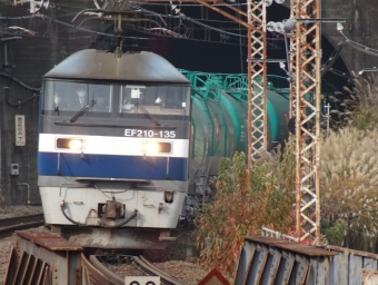 JR貨物 EF210 桃太郎 EF210-135 鉄道フォト・写真 by yutarou4649さん 山手駅：2020年12月12日13時ごろ