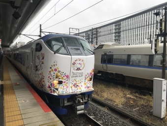JR西日本 クロ280形 はるか(特急) クロ280-5 鉄道フォト・写真 by escaper3wさん 京都駅 (JR)：2022年11月23日09時ごろ