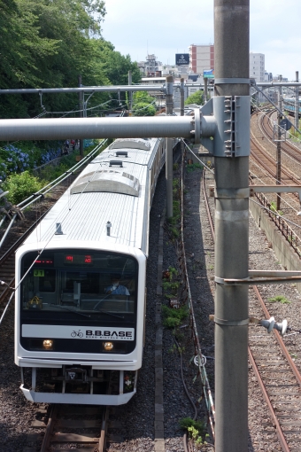 JR東日本209系電車 鉄道フォト・写真 by 夕``ﾉﾚマ8OOさん 王子駅 (JR)：2021年06月17日13時ごろ