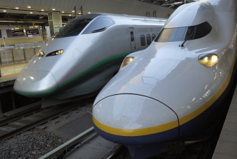 JR東日本 つばさ(新幹線) 鉄道フォト・写真 by hayabusa-komachiさん 東京駅 (JR)：2013年06月04日18時ごろ