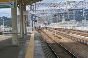 JR西日本 こだま(新幹線) 鉄道フォト・写真 by hayabusa-komachiさん 姫路駅：2020年03月08日12時ごろ