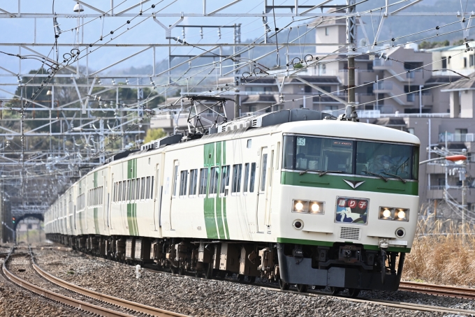 JR東日本 国鉄185系電車 踊り子8号 真鶴駅 鉄道フォト・写真 by 夜窓 ...