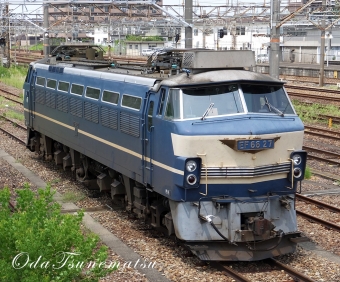 JR貨物 EF66-27 EF66 鉄道フォト・写真 by あじさいさん 大府駅：2017年08月07日12時ごろ