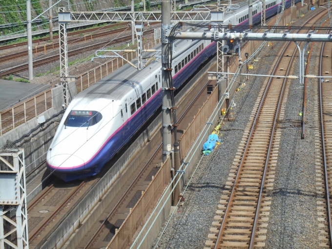 JR東日本 E2系新幹線 とき(新幹線) 鉄道フォト・写真 by 稲5114さん 日暮里駅 (JR)：2021年07月10日09時ごろ