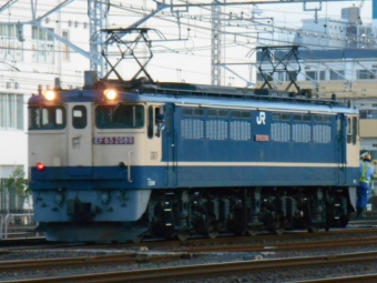 JR貨物 国鉄EF65形電気機関車 鉄道フォト・写真 by 稲5114さん 新小岩駅：2021年07月16日18時ごろ