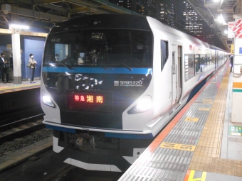 JR東日本E257系電車 クハE256形(Tc') 湘南(特急) 鉄道フォト・写真 by 稲5114さん 東京駅 (JR)：2021年11月02日18時ごろ