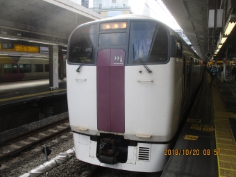 JR東日本215系電車 ホリデービューやまなし 鉄道フォト・写真 by 稲5114さん 新宿駅 (JR)：2018年10月20日08時ごろ