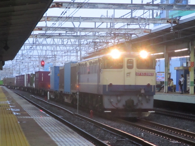 JR貨物 国鉄EF65形電気機関車 鉄道フォト・写真 by 稲5114さん 市川駅：2019年07月14日18時ごろ