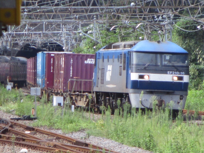 JR貨物 EF210形 EF210-16 鉄道フォト・写真 by 稲5114さん 熱海駅：2019年09月15日10時ごろ