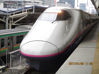 JR東日本 E2系新幹線電車 鉄道フォト・写真 by 稲5114さん 東京駅 (JR)：2017年01月08日11時ごろ