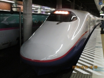 JR東日本 E2系新幹線 あさま(新幹線) 鉄道フォト・写真 by 稲5114さん 上野駅 (JR)：2016年10月22日18時ごろ
