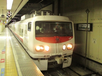 JR東日本E491系電車 クヤE490形(Tzc) 鉄道フォト・写真 by 稲5114さん 東京駅 (JR)：2019年02月10日12時ごろ