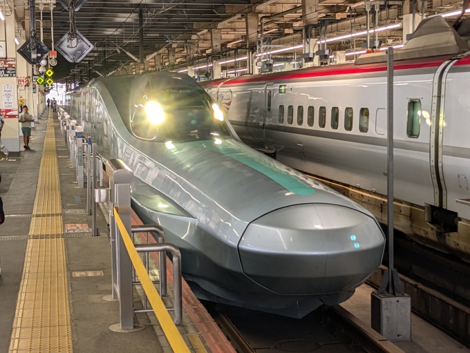 JR東日本 E956形新幹線電車 ALFA-X(アルファ エックス) E956-1