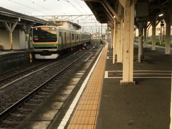 サハE231-1017 鉄道フォト・写真