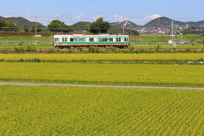 JR西日本125系電車 鉄道フォト・写真 by sugisan1973さん 厄神駅 (JR)：2019年09月14日11時ごろ