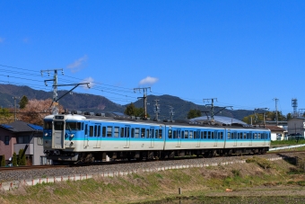 クハ115-1009 鉄道フォト・写真