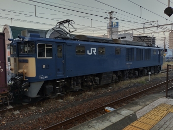 JR貨物EF64形電気機関車 EF64 1024 鉄道フォト・写真 by TANAKAIさん 倉敷駅：2023年11月02日17時ごろ
