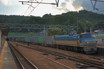 JR貨物 EF66 129 鉄道フォト・写真 by 丹波篠山さん 金谷駅 (JR)：2013年09月21日16時ごろ