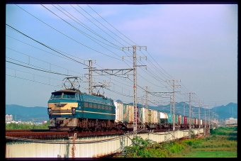 JR貨物 国鉄EF66形電気機関車 EF66 14 鉄道フォト・写真 by 丹波篠山さん 姫路駅：2001年11月10日00時ごろ