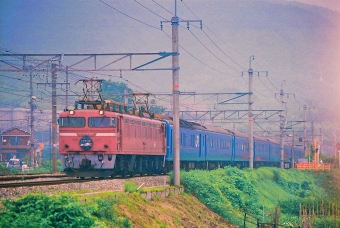 JR西日本 国鉄EF81形電気機関車 日本海(特急) EF81 101 鉄道フォト・写真 by 丹波篠山さん ：1996年05月21日00時ごろ