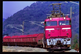 JR貨物 国鉄EF81形電気機関車 EF81 28 鉄道フォト・写真 by 丹波篠山さん 新疋田駅：1997年03月06日00時ごろ