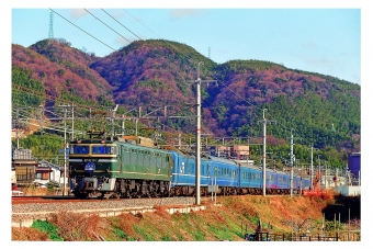 JR西日本 国鉄EF81形電気機関車 日本海(特急) EF81 104 鉄道フォト・写真 by 丹波篠山さん ：1996年11月04日00時ごろ