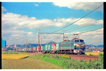 JR貨物 国鉄EF66形電気機関車 EF66 8 鉄道フォト・写真 by 丹波篠山さん 加古川駅：1996年10月10日00時ごろ
