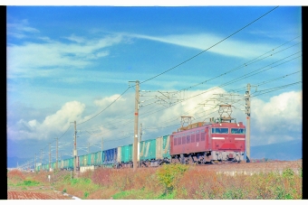 JR貨物 国鉄EF81形電気機関車 EF81 鉄道フォト・写真 by 丹波篠山さん ：1996年11月23日00時ごろ