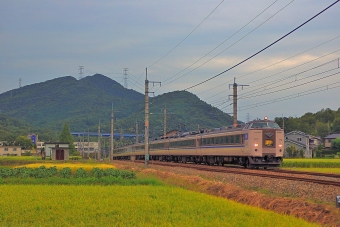 クハ481-302 鉄道フォト・写真
