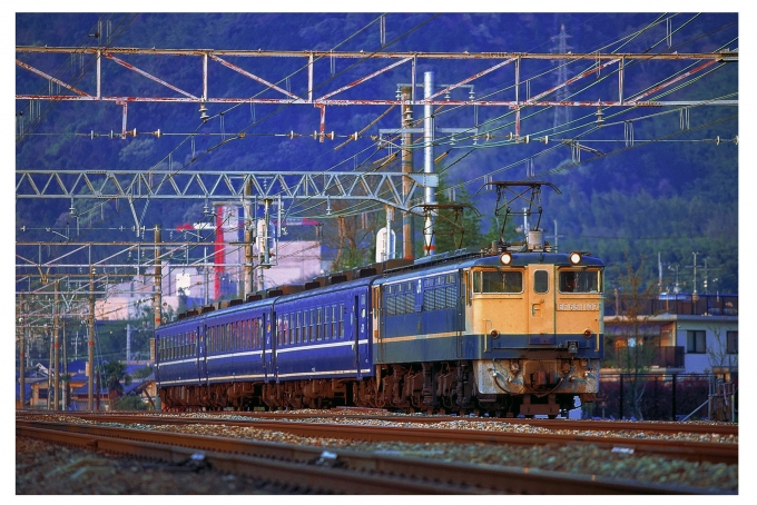 JR西日本 国鉄EF65形電気機関車 ムーンライト高知 EF65 1137 山崎駅 
