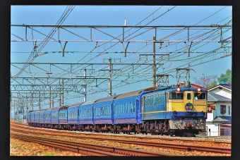 JR西日本 国鉄EF65形電気機関車 なは(特急) EF65 1130 鉄道フォト・写真 by 丹波篠山さん 高槻駅：1997年04月13日00時ごろ