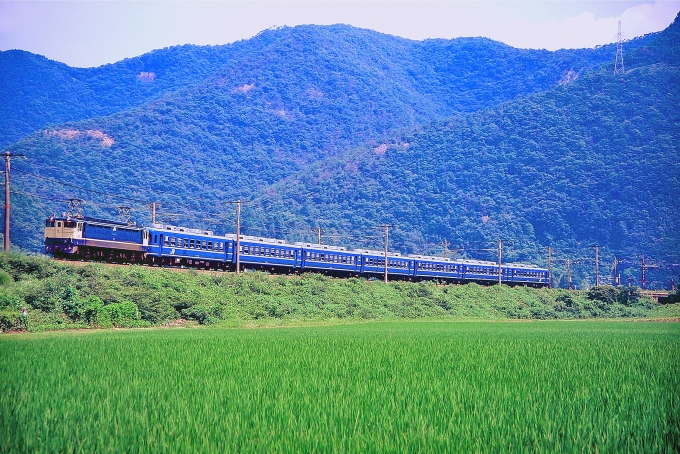 JR西日本 国鉄EF65形電気機関車 金光臨 EF65 1093 鉄道フォト・写真 by 丹波篠山さん 上郡駅 (JR)：1997年07月20日00時ごろ