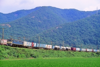 JR貨物 国鉄EF65形電気機関車 EF65 103 鉄道フォト・写真 by 丹波篠山さん 上郡駅 (JR)：1997年07月20日00時ごろ