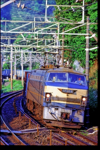 JR貨物 国鉄EF66形電気機関車 EF66 4 鉄道フォト・写真 by 丹波篠山さん 根府川駅：1997年05月10日00時ごろ