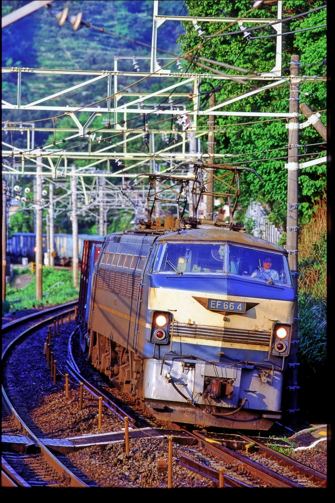 JR貨物 国鉄EF66形電気機関車 EF66 4 根府川駅 鉄道フォト・写真 by 丹波篠山さん | レイルラボ(RailLab)