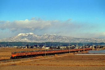 クハ115-490 鉄道フォト・写真