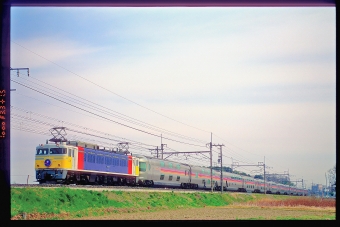JR東日本 国鉄EF81形電気機関車 カシオペア(特急) EF81 99 鉄道フォト・写真 by 丹波篠山さん ：2003年03月30日00時ごろ