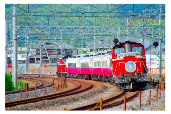 JR西日本 国鉄DD51形ディーゼル機関車 DD51 1191 鉄道フォト・写真 by 丹波篠山さん ：1996年11月04日00時ごろ
