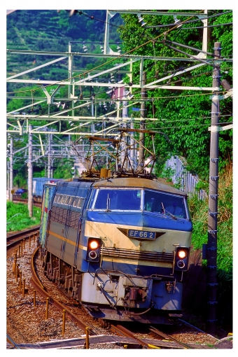 JR貨物 国鉄EF66形電気機関車 EF66 2 鉄道フォト・写真 by 丹波篠山さん 根府川駅：1997年05月10日00時ごろ