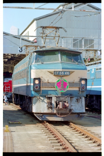 JR西日本 国鉄EF66形電気機関車 EF66 46 鉄道フォト・写真 by 丹波篠山さん 新大阪駅 (JR)：1996年11月03日00時ごろ