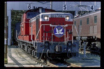 JR西日本 国鉄DD51形ディーゼル機関車 DD51 1043 鉄道フォト・写真 by 丹波篠山さん 新大阪駅 (JR)：1996年11月03日00時ごろ