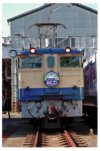 JR西日本 国鉄EF65形電気機関車 EF65 1136 鉄道フォト・写真 by 丹波篠山さん 新大阪駅 (JR)：1996年11月03日00時ごろ