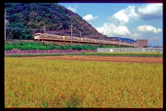 クハ116-16 鉄道フォト・写真