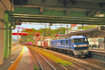 JR貨物 EF210形 EF210-7 鉄道フォト・写真 by 丹波篠山さん 八本松駅：2021年10月24日11時ごろ