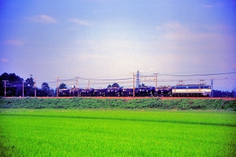 JR貨物 国鉄EF65形電気機関車 EF65 120 鉄道フォト・写真 by 丹波篠山さん 篠原駅 (滋賀県)：1997年06月25日00時ごろ