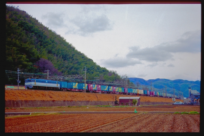JR貨物 国鉄EF65形電気機関車 EF65 67 鉄道フォト・写真 by 丹波篠山さん 高槻駅：1998年04月14日00時ごろ