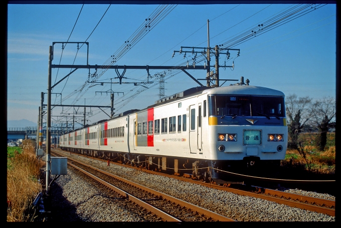 鉄道フォト・写真：JR東日本 国鉄185系電車 普通 クハ185-201 新前橋駅 鉄道フォト・写真 by 丹波篠山さん - 撮影日 2002/02/15 00:00